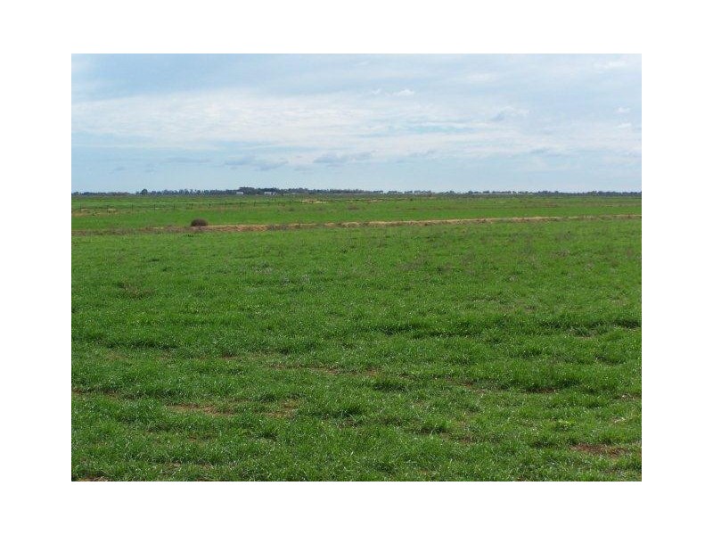 . Farm 572, Coleambally NSW 2707