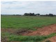 . Farm 572, Coleambally NSW 2707