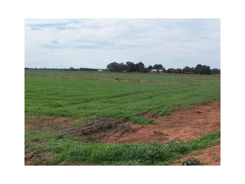 . Farm 572, Coleambally NSW 2707