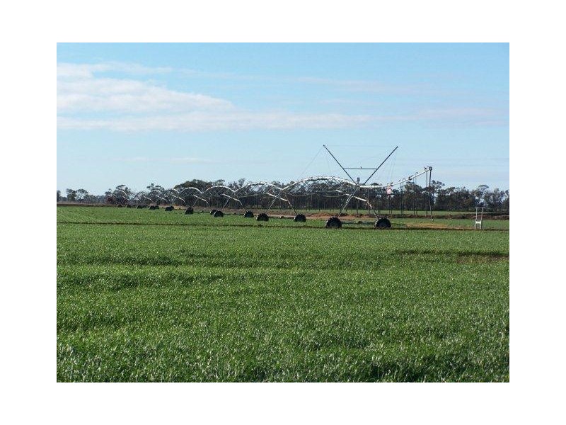 . Farms 210 and 211, Coleambally NSW 2707