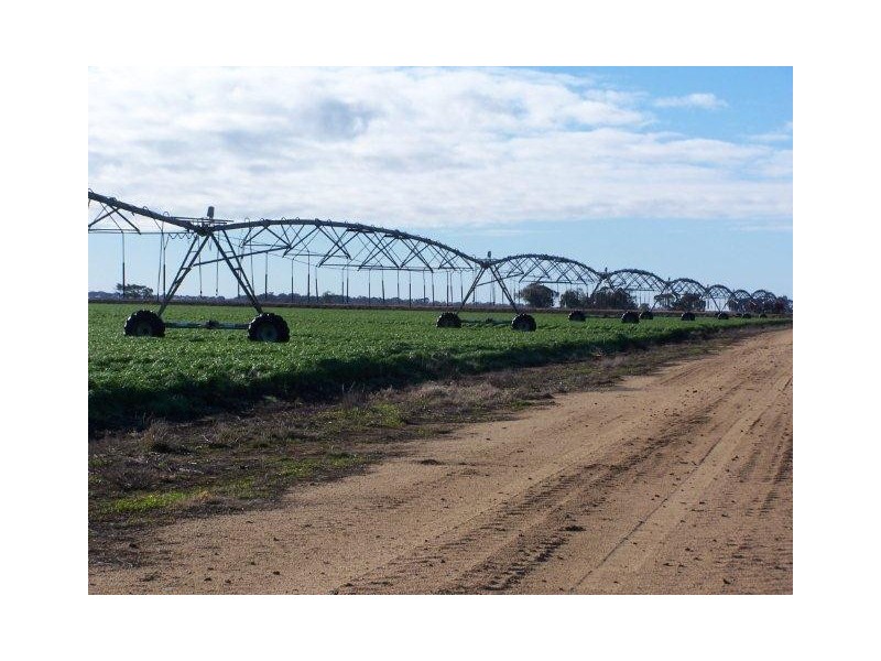 . Farms 210 and 211, Coleambally NSW 2707