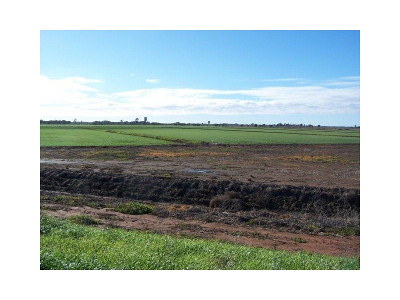 . Farms 210 and 211, Coleambally NSW 2707