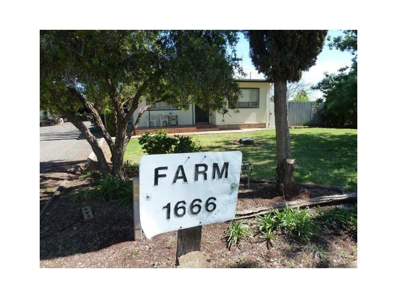 Farm 1666 Davis Street, Beelbangera NSW 2680