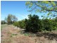 Farm 1666 Davis Street, Beelbangera NSW 2680