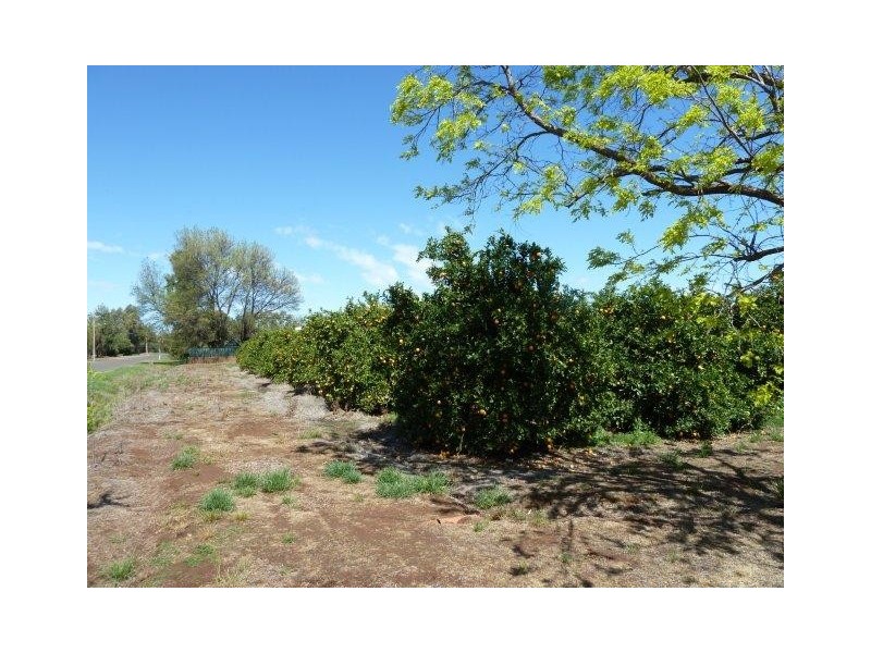 Farm 1666 Davis Street, Beelbangera NSW 2680