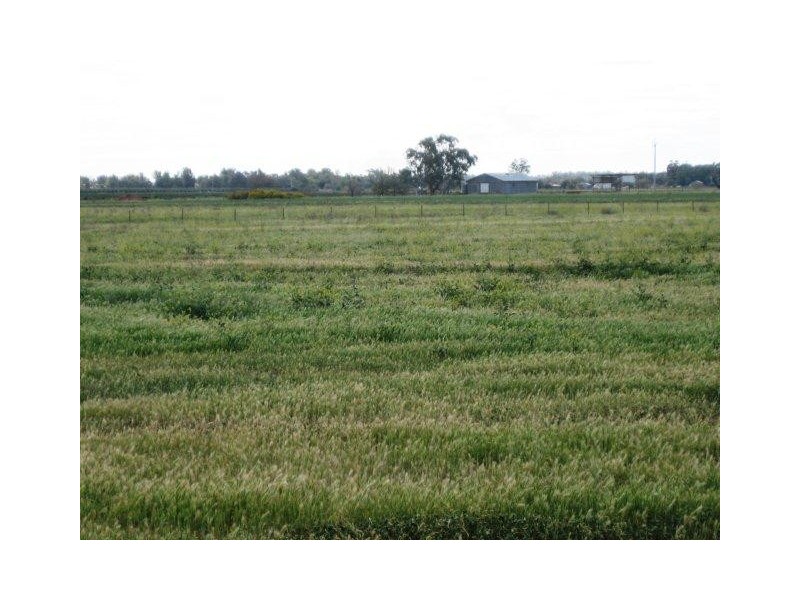 . Farm 1054C, Hanwood NSW 2680