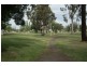 31 Curtin Street, Griffith NSW 2680