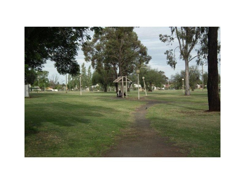 31 Curtin Street, Griffith NSW 2680