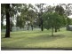 31 Curtin Street, Griffith NSW 2680