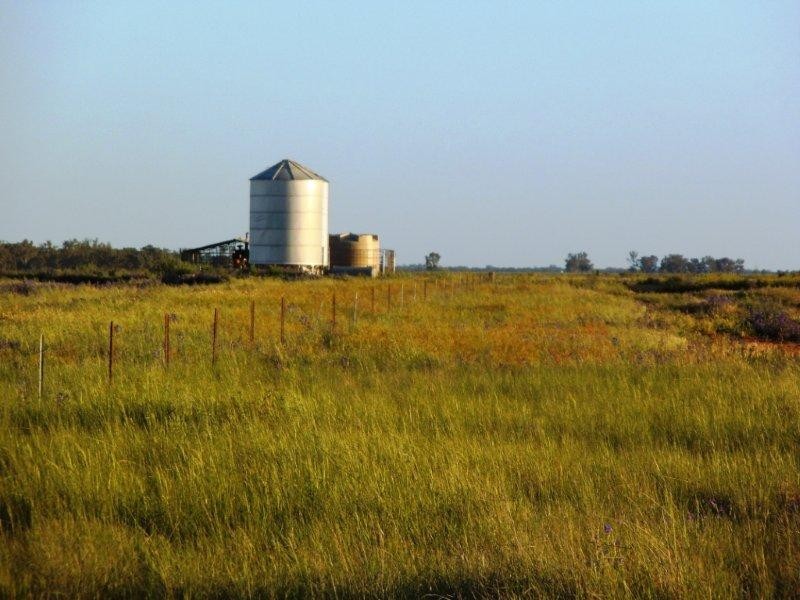 . “Plains East”, Narrandera NSW 2700