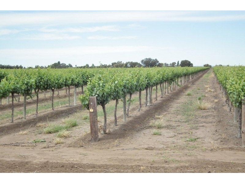 Farm 948 Tower Road, Stanbridge NSW 2705