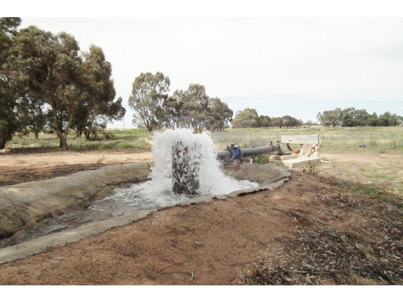 Farm 948 Tower Road, Stanbridge NSW 2705