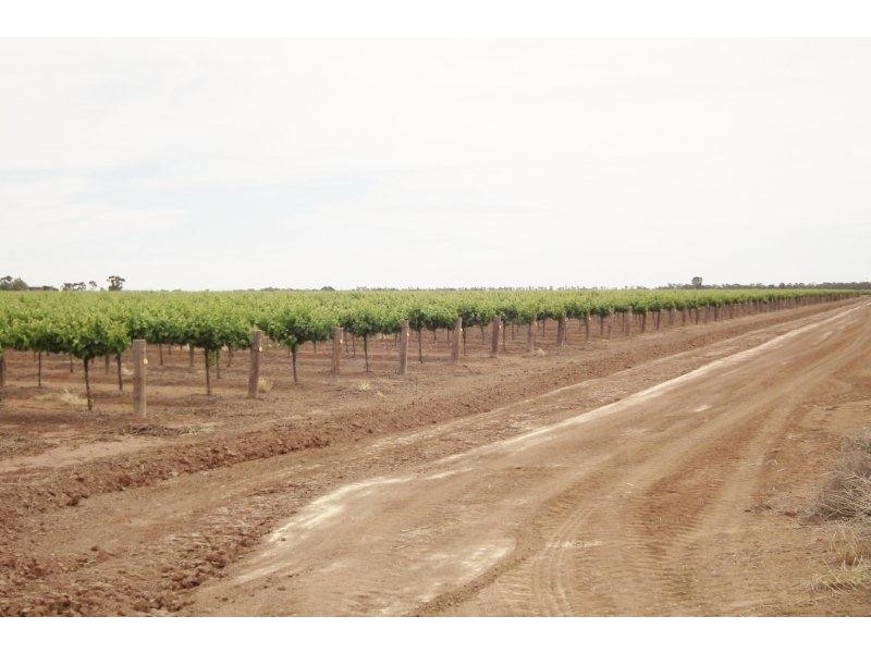 Farm 948 Tower Road, Stanbridge NSW 2705