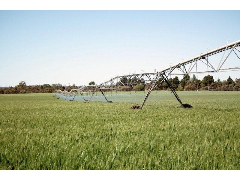 Farm 2368 West Road, Lake Wyangan NSW 2680