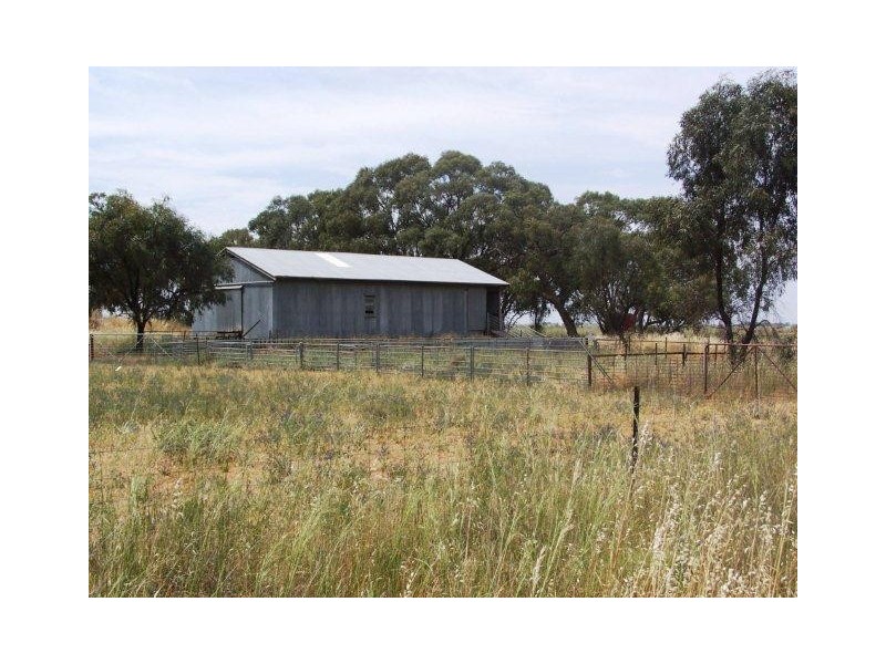 . Farm 41, Coleambally NSW 2707