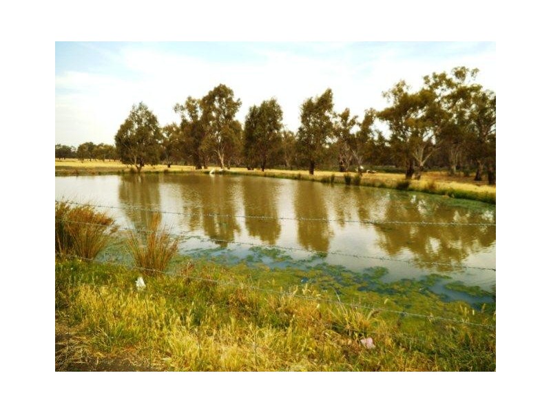 Darlington Point NSW 2706