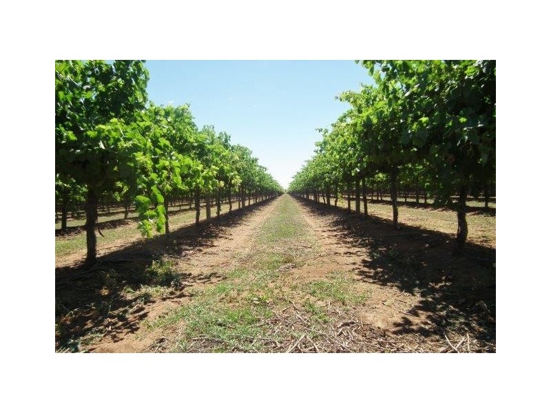 Farm 677D Mansell Road, Hanwood NSW 2680