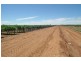 Farm 677D Mansell Road, Hanwood NSW 2680