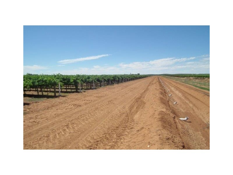 Farm 677D Mansell Road, Hanwood NSW 2680