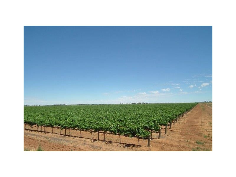 Farm 677D Mansell Road, Hanwood NSW 2680