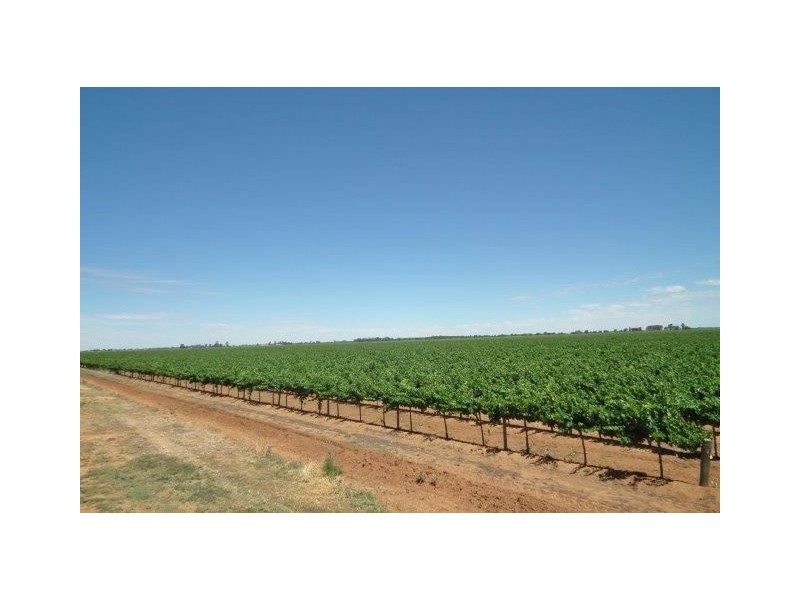 Farm 677D Mansell Road, Hanwood NSW 2680