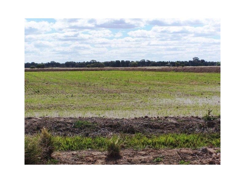 . Farm 520, Coleambally NSW 2707