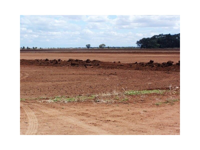 . Farm 520, Coleambally NSW 2707