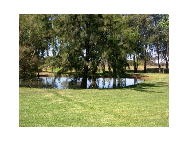 . Farm 1032, Coleambally NSW 2707