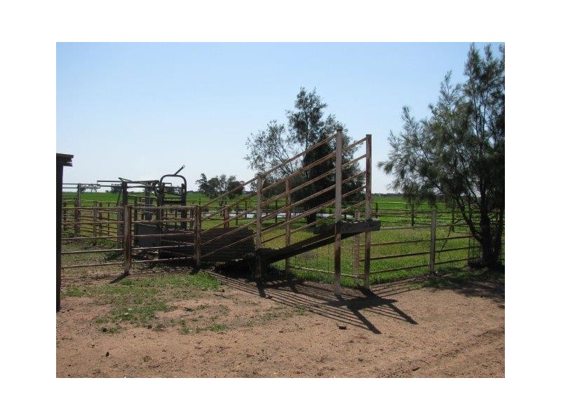 Lot 204, Farm 1014 Wright Road, Stanbridge NSW 2705