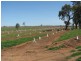 Lot 207, Farm 1014 Wright Road, Stanbridge NSW 2705