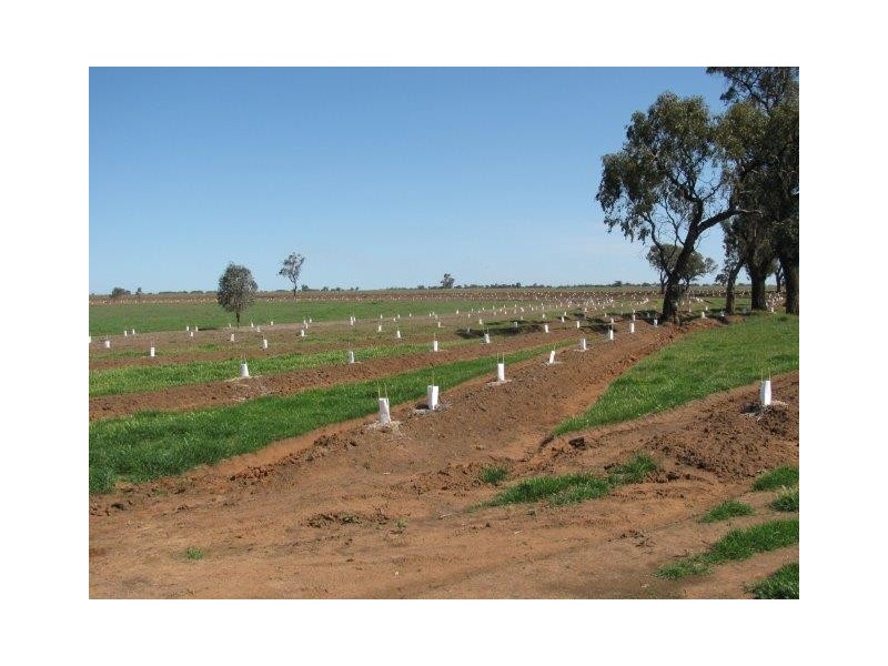 Lot 207, Farm 1014 Wright Road, Stanbridge NSW 2705