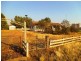 Farm 1970 Adams Road, Willbriggie NSW 2680