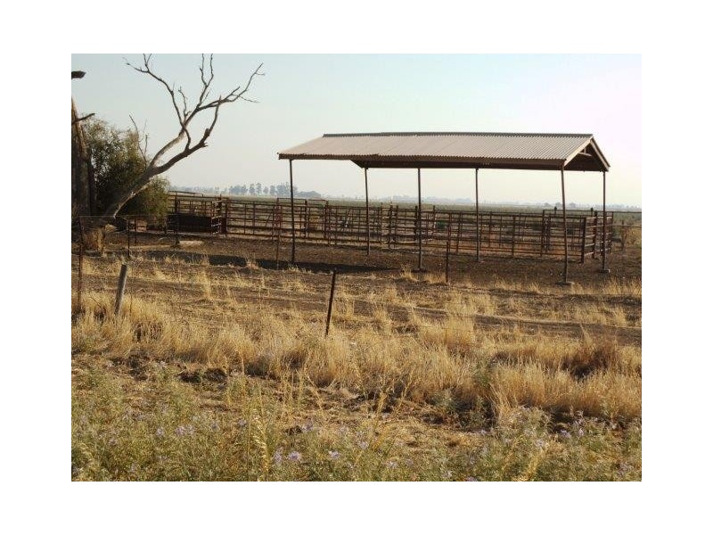 Farm 1970 Adams Road, Willbriggie NSW 2680