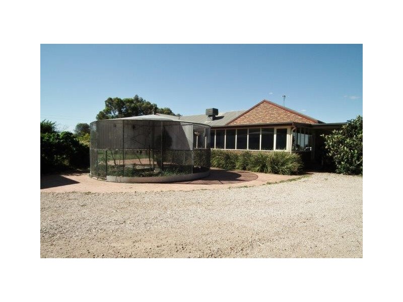 556 Condon Road, Bilbul NSW 2680