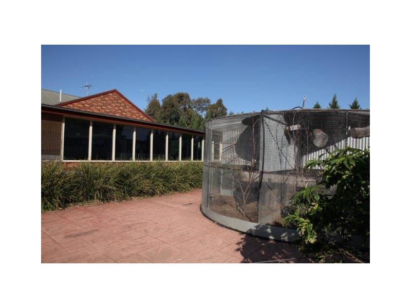 556 Condon Road, Bilbul NSW 2680