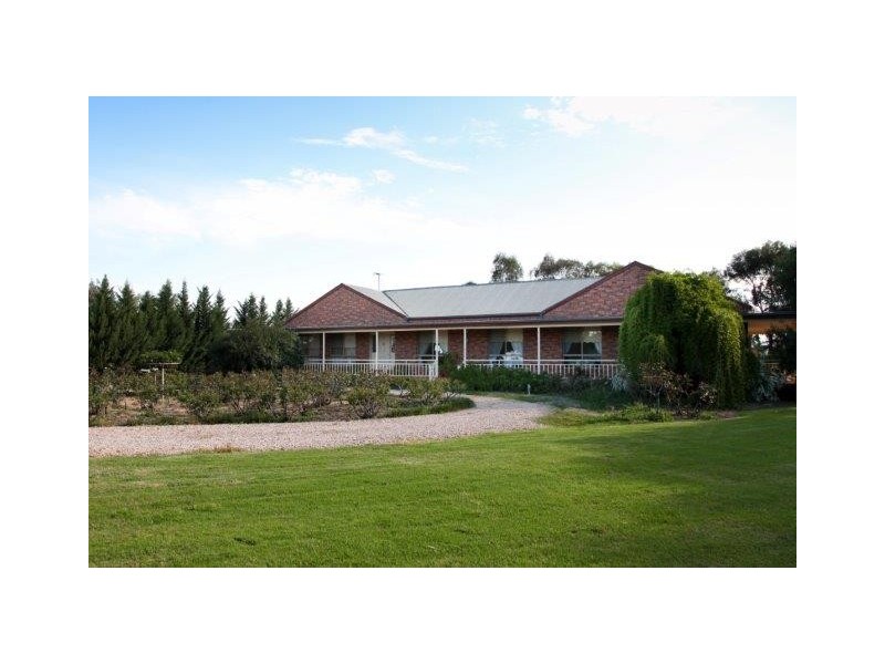 556 Condon Road, Bilbul NSW 2680