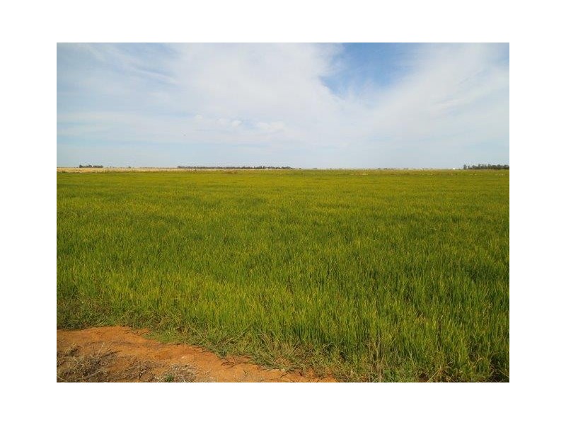 . Farm 565 and 567, Coleambally NSW 2707