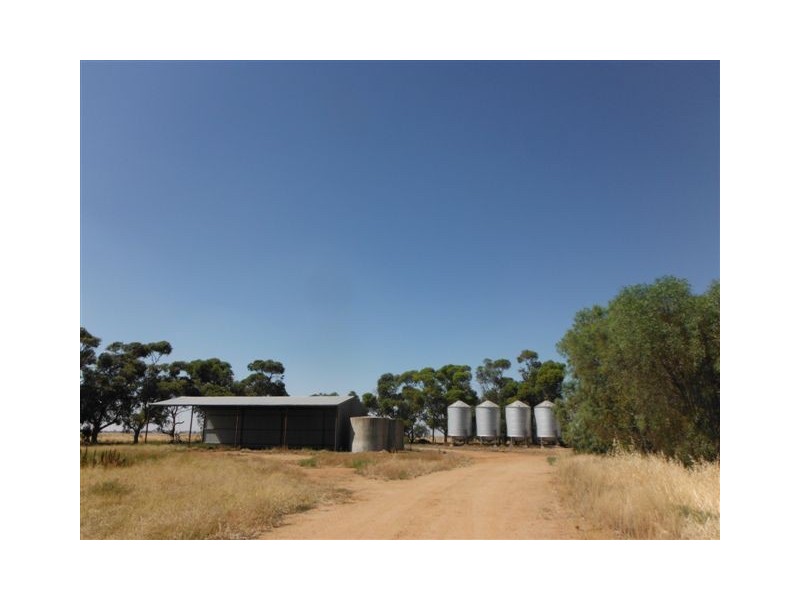 . Farm 565 and 567, Coleambally NSW 2707