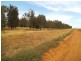 . Farm 565 and 567, Coleambally NSW 2707