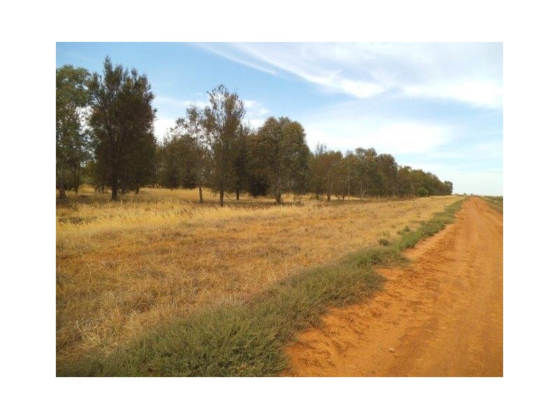 . Farm 565 and 567, Coleambally NSW 2707