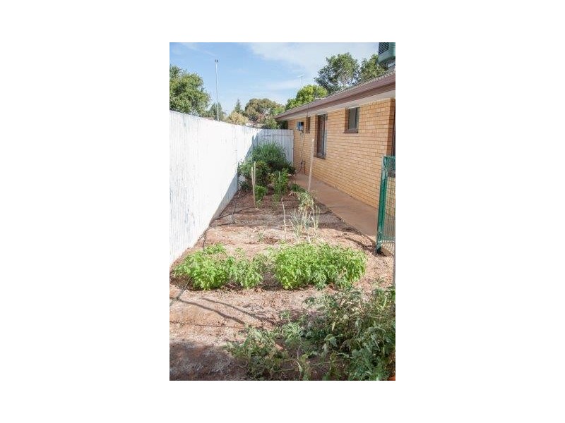 20 Burley Street, Griffith NSW 2680