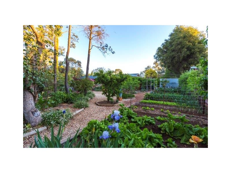 5 Maegraith Place, Lake Wyangan NSW 2680