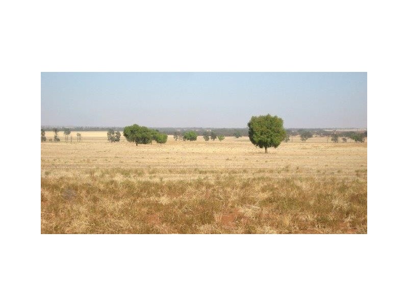 . “Yarranholm”, Rankins Springs NSW 2669