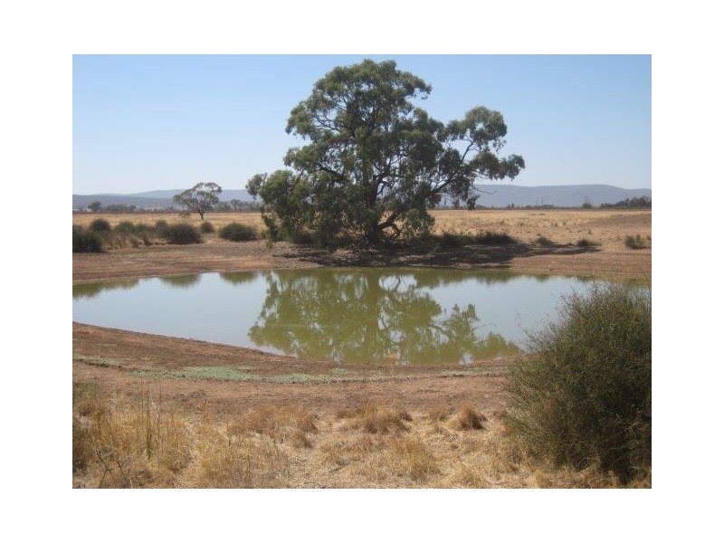 . “Yarranholm”, Rankins Springs NSW 2669