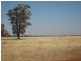 . “Yarranholm”, Rankins Springs NSW 2669