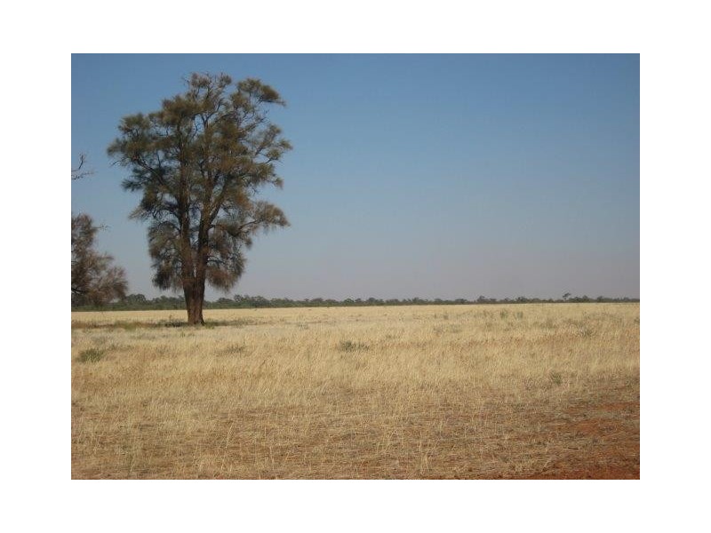 . “Yarranholm”, Rankins Springs NSW 2669