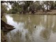 . “Brotherony” and “Everton”, Condobolin NSW 2877