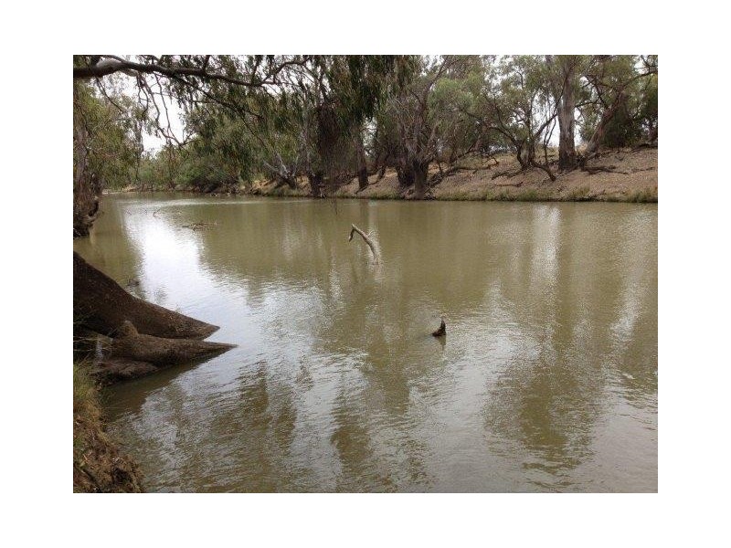 . “Brotherony” and “Everton”, Condobolin NSW 2877