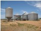 . “Brotherony” and “Everton”, Condobolin NSW 2877