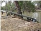 . “Brotherony” and “Everton”, Condobolin NSW 2877